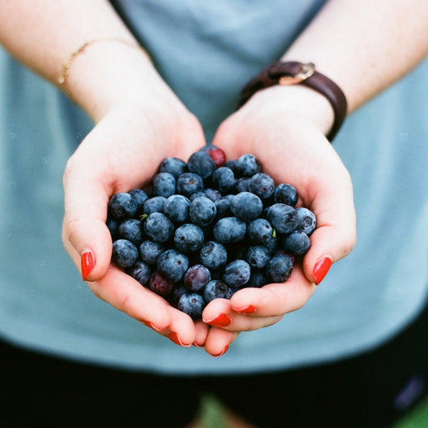 Antioxidánsok a szabadgyökök ellen!